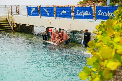 dolphin_encounter_verkleind